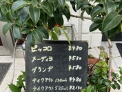 ジェラテリア サンタクローチェ
