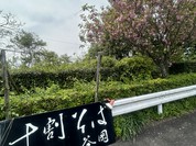 十割そば 谷岡