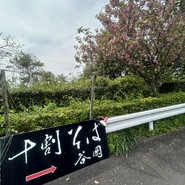 十割そば 谷岡