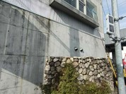 亜蛮忠留