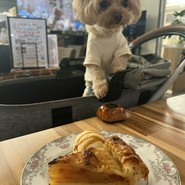 わん!リトルガーデン