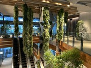 TRATTORIA PIZZERIA 207（渋谷アクシュ）
