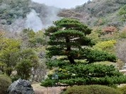 雲仙宮崎旅館