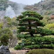 雲仙宮崎旅館