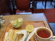 オリーブの木