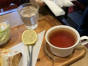 オリーブの木