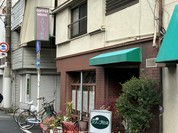 オリーブの木
