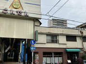 オリーブの木