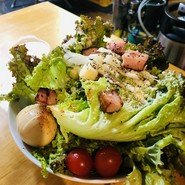 ホワイトはうす