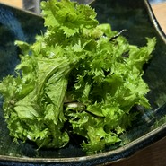 とり料理 鳥者