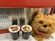 タリーズコーヒー&TEA あべのキューズモール店
