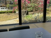 湯上がり茶屋 一休