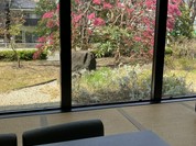 湯上がり茶屋 一休