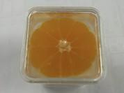 温州みかんジュエル324円！