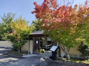梅の花 岐阜店