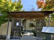 梅の花 岐阜店