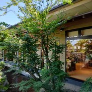 梅の花 岐阜店
