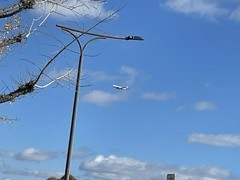 ケーキ＆カフェダイニング　ボナボン