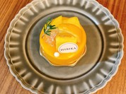 HIBIKA 日本橋高島屋店