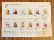 HIBIKA 日本橋高島屋店