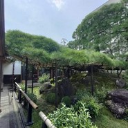 中村藤吉本店 宇治本店