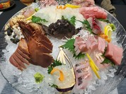 オコゼやウチワエビなどの刺身盛り