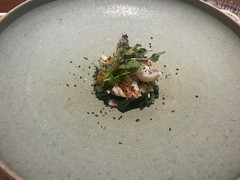 cenci