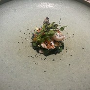 cenci