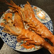 本格炭火焼とりとさかな　ゆうま