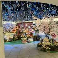 ミアスタンド
