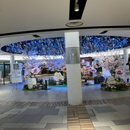 ミアスタンド