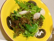 アッピアアルタ西麻布（Appia alta）