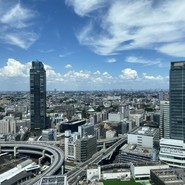 とても長めの良い席をご用意頂き、感謝です。良いランチタイムを過ごせました。