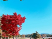 名神栗東カントリー倶楽部レストラン