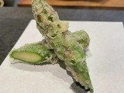 アスパラ　富良野