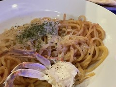 CONA恵比寿店