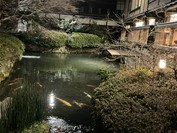 南禅寺 順正