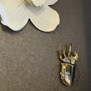 YOLO cafe & bar 渋谷宮益坂店