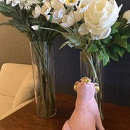 YOLO cafe & bar 渋谷宮益坂店