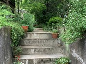 カフェ ニワトコ