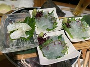 和sai 市林