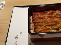 梅コース