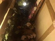 小樽 旅人食堂