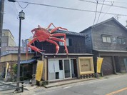 越前蟹の坊