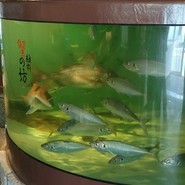 越前蟹の坊