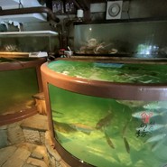 越前蟹の坊