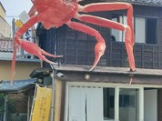 越前蟹の坊