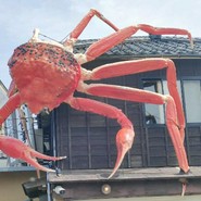越前蟹の坊