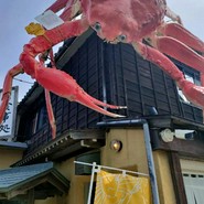 越前蟹の坊