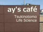アイズカフェ